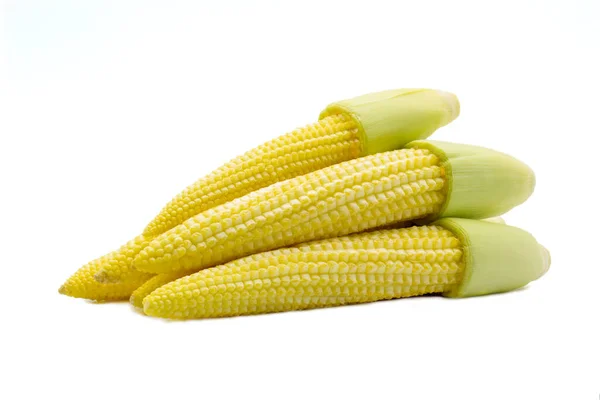 Детская Кукуруза Белом Фоне — стоковое фото