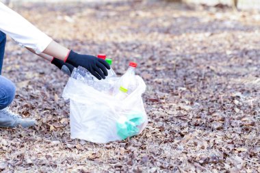 Volunteer collecting polyethylene terephthalate bottle garbage in park for recycle, Volunteer and Save Environmental concept.