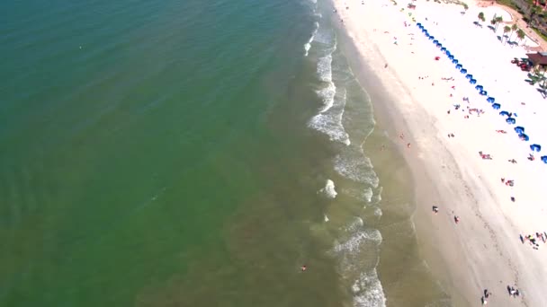 フロリダ海のビーチ観光客の上の空中ドローン — ストック動画