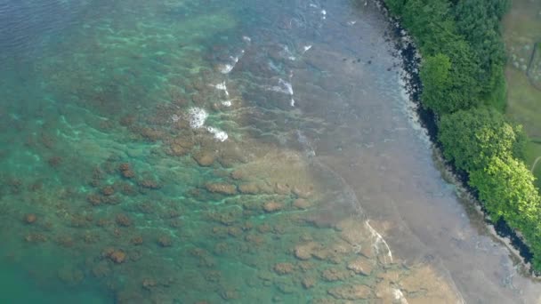 Dron Aéreo Sobre Hermosa Playa Hawaiana Clara Hawaii — Vídeos de Stock