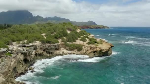 Dron Powietrzny Nad Wrakiem Statku Plaża Kauai Wyspa Hawaje — Wideo stockowe