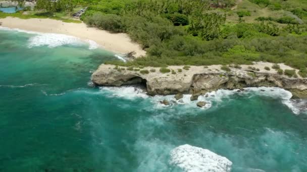 Drone Aéreo Acima Naufrágio Praia Kauai Ilha Hawaii — Vídeo de Stock