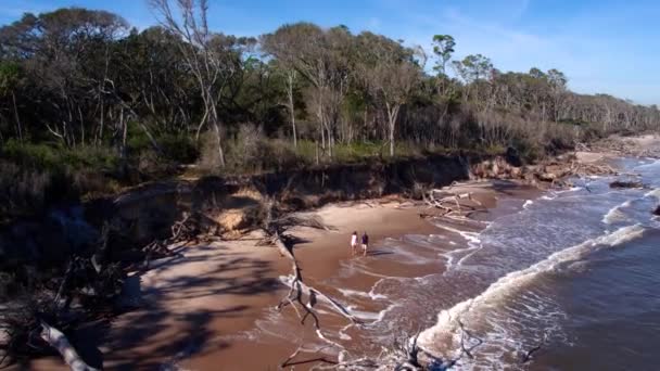 Drone Aéreo Casal Ondas Caminhando Praia Romântica Flórida — Vídeo de Stock