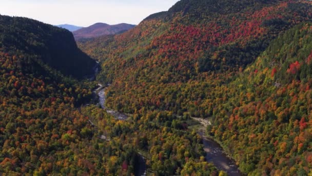 Drone Aereo Montagne Selvagge Con Fiume Placido Lago — Video Stock