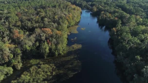 Aerial Drone Shot Crystal River Florida Crystal Springs — Stock Video