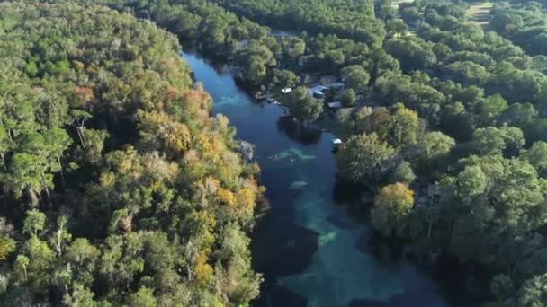 Letecký Dron Záběr Křišťálové Řeky Floridy Kajak — Stock video