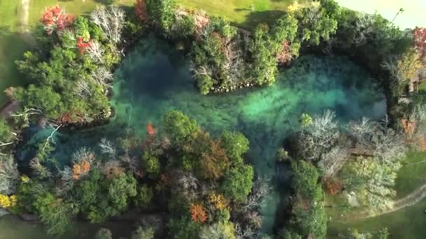 Crystal Springs Florida Denizayılarının Insansız Hava Aracı Görüntüleri — Stok video