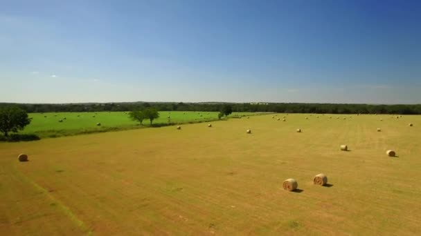 Vanuit Lucht Uitzicht San Antonio Landbouwgrond Een Zonnige Dag — Stockvideo