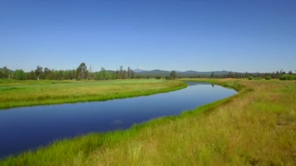 Aerial View River Green Fields Oregon — Stock Video