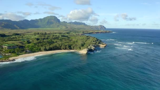 Zeezicht Schipbreuk Strand Kauai Kust Door Drone — Stockvideo