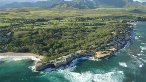 Naufragio Vista Aérea Cada Uno Costa Kauai Por Dron — Vídeo de stock
