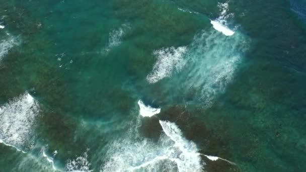 Ondas Vista Aérea Rolando Praia Hawaii Câmera Lenta — Vídeo de Stock