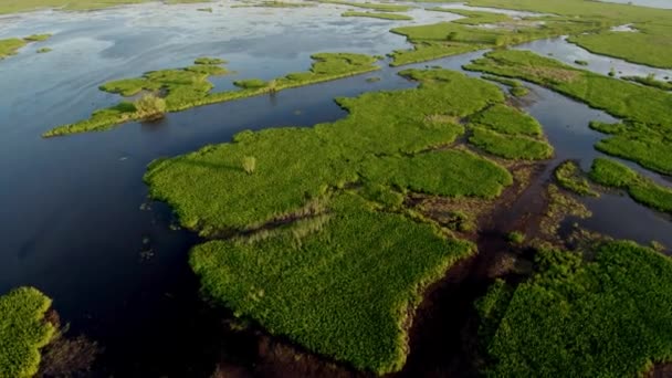 Barco Aire Toda Velocidad Través Drone Bayou — Vídeos de Stock