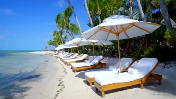 Strandstoelen Parasols Tropisch Strand — Stockvideo