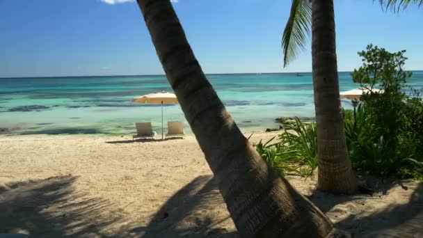 Plaża Tulum Meksyk Tracking Shot — Wideo stockowe
