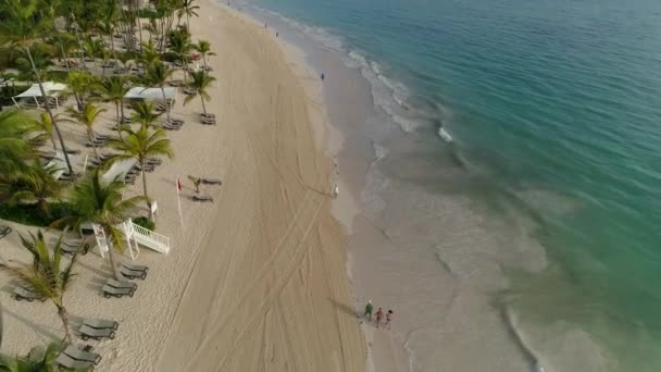 Playa Disparada Por Aviones Teledirigidos Palmeras Tropicales Olas Del Océano — Vídeo de stock
