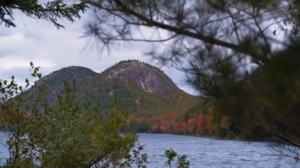 Güzel Acadia Ulusal Park Orman Sahili Dağları — Stok video