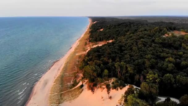 Όμορφες Παραλίες Ακτή Και Δάσος Indiana — Αρχείο Βίντεο
