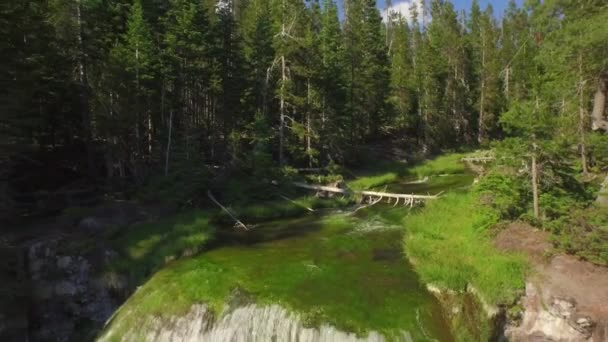 Flygfoto Över Bäck Och Vattenfall Omgiven Grön Skog — Stockvideo