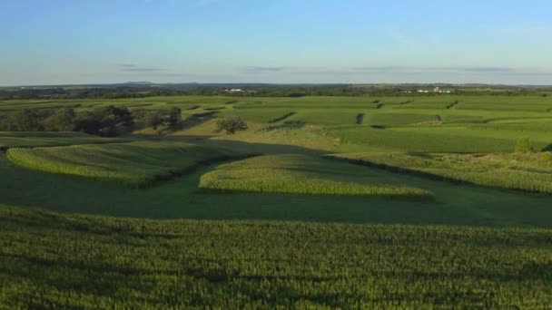 爱荷华州中西部美丽的农场无人驾驶飞机拍摄的田野 — 图库视频影像