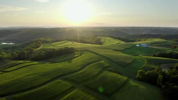 Bela Paisagem Agrícola Drone Aéreo Rural Tiro Pôr Sol — Vídeo de Stock