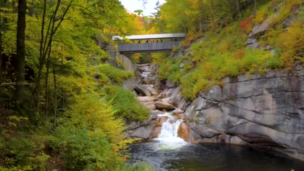 Beautiful Forest Mountain Covered Bridge National Forest Park Wilderness — Stock Video