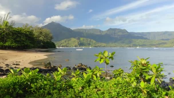 Vackra Berg Hanalei Bay Kauai Stockfilm — Stockvideo