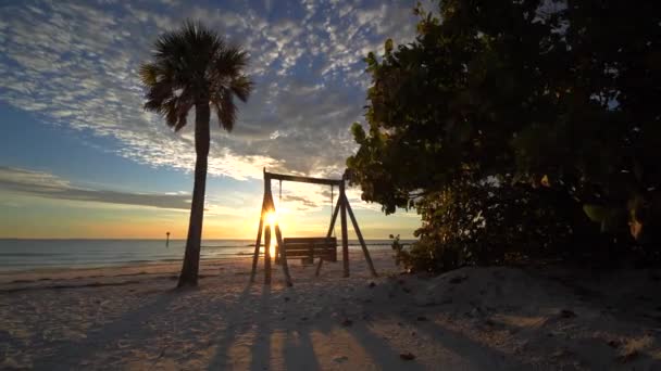 Bank Het Strand Bij Zonsondergang Palmbomen Mooie Rustige Schot — Stockvideo