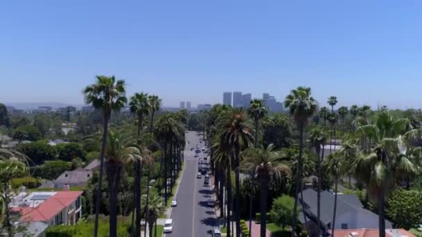 Beverly Hills Rue Avec Palmiers — Video