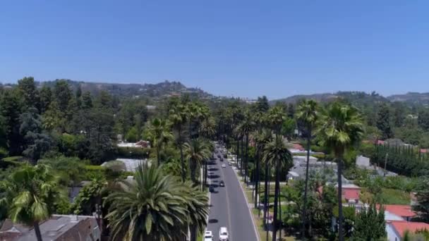 茂密的山路 有棕榈树 — 图库视频影像