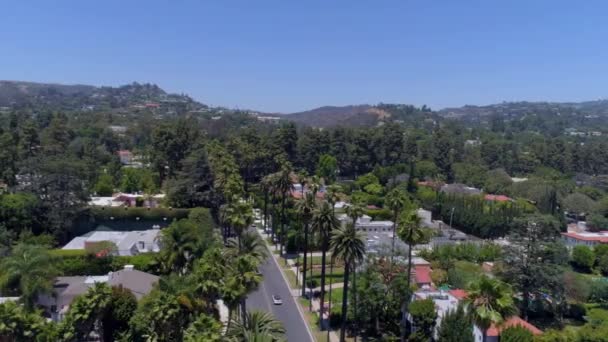 Beverly Hills Street Palm Trees — Stock Video
