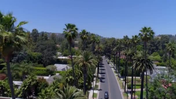 Beverly Hills Straat Met Palmbomen — Stockvideo