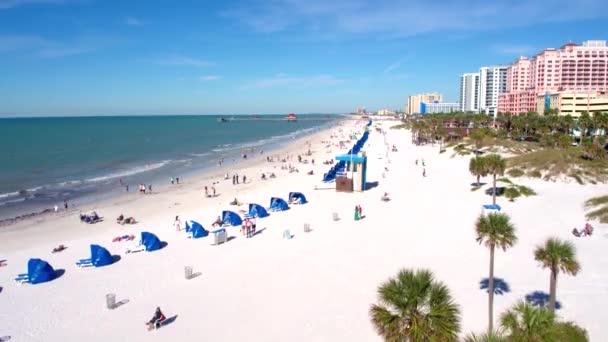 Båtar Längs Tampa Stad Strand Kust Florida Skyline Antenn Drönare — Stockvideo