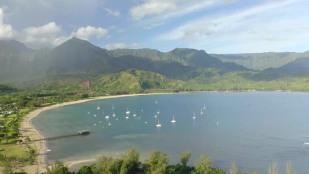 Łodzie Hanalei Zatoka Port Kauai Wyspa Hawaje Przez Drona Powietrzna — Wideo stockowe