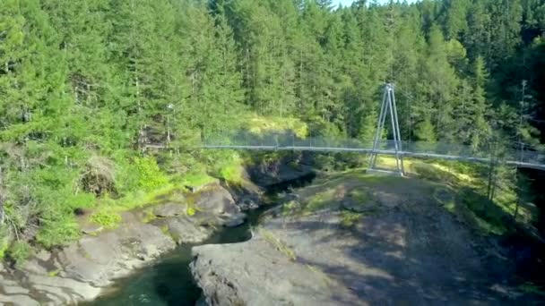 バンクーバー島の森の橋を空中ドローンで — ストック動画