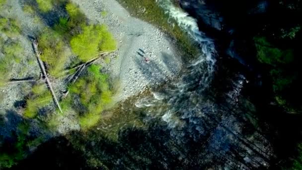Most Vancouverském Ostrovním Lese Leteckým Dronem — Stock video