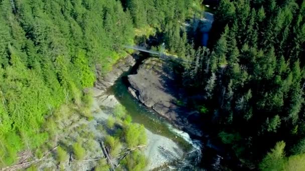Puente Bosque Isla Vancouver Por Avión Tripulado Aéreo — Vídeo de stock