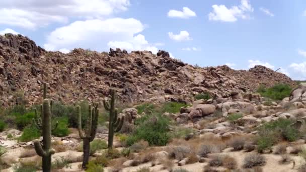 Κάκτοι Μπροστά Από Σχηματισμό Βράχων Της Ερήμου — Αρχείο Βίντεο