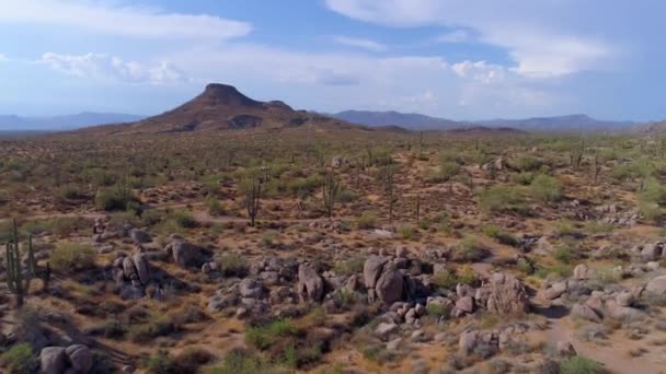 Cactus Montagnes Dans Désert — Video