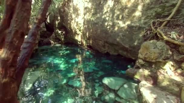 Cenotes Tulum Seuranta Laukaus — kuvapankkivideo