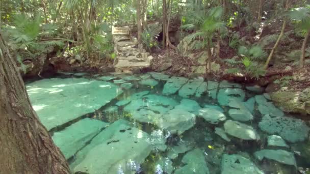 Cenotes Tulum Tracking Shot — Stock video