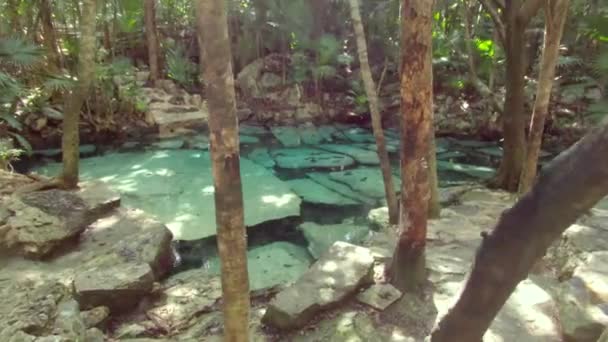 Cenote Tulum Tracking Shot — Video Stock
