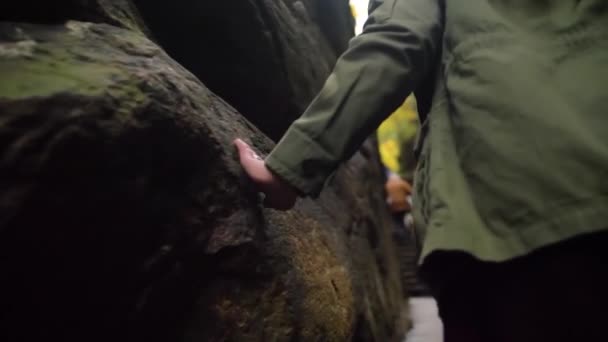 Primo Piano Delle Donne Mano Sul Sentiero Legno Foresta Nazionale — Video Stock