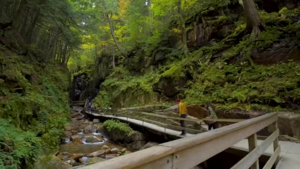 州の森林の山の中の橋を渡るカップルのハイキング — ストック動画