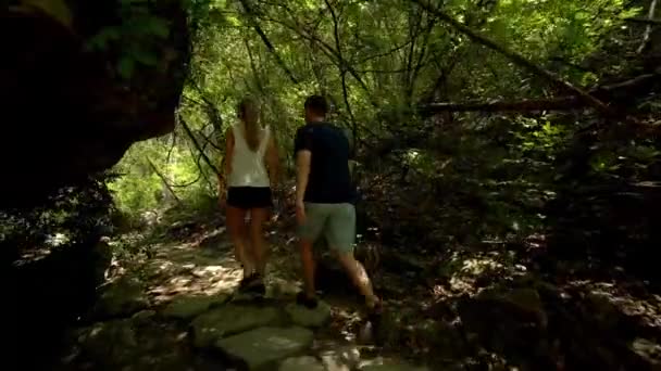 テキサスの森をハイキングするカップルは — ストック動画