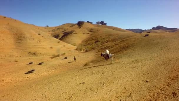 Vaquero Caballo Viajando Cordillera Día Soleado Por Dron Aéreo — Vídeos de Stock