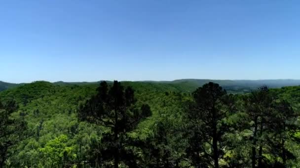 Drohnenschuss Über Wald Und Hügelsee Der Ferne — Stockvideo