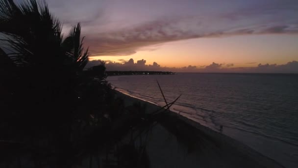 ヤシの木の後ろでカラフルなビーチの夕日を確立し — ストック動画