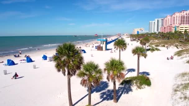 Drönare Skott Tampa Strand Antenn Florida Hav Med Turister — Stockvideo