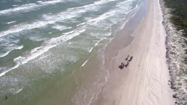 Drone Tiro Equitação Cavalos Longo Praia Ondas — Vídeo de Stock